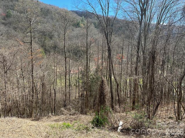 0 Tuckaway Ridge Drive, Hendersonville, NC 28792