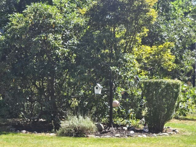 3 Granite St, Walpole, MA 02081