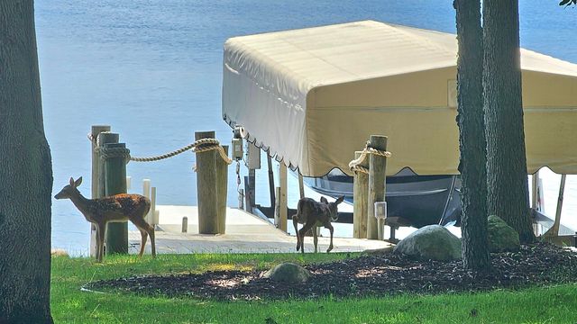 1985 S Haven Drive, Gladwin, MI 48624