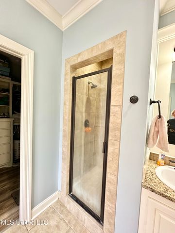 715 Tortoise Ridge, Brandon, MS 39047