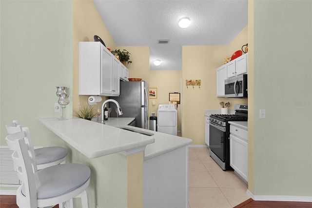 2437 SOUTHERN OAK STREET, The Villages, FL 32162