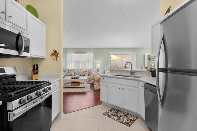 2437 SOUTHERN OAK STREET, The Villages, FL 32162
