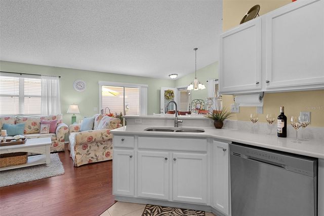 2437 SOUTHERN OAK STREET, The Villages, FL 32162