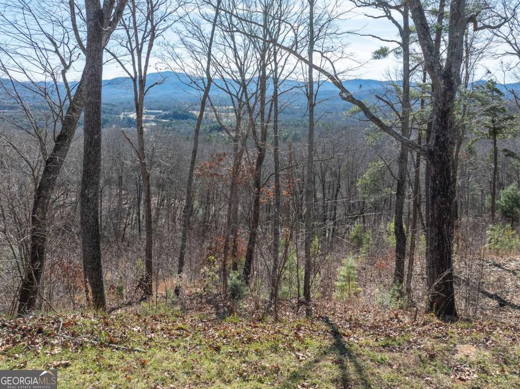 LOT 132 Highland Park, Blairsville, GA 30512