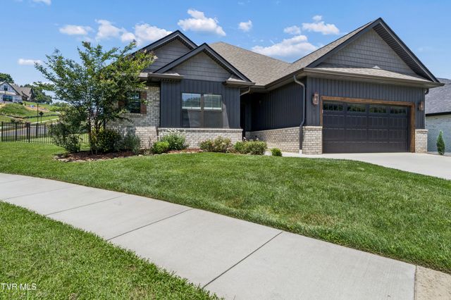 882 Gardenia Drive, Johnson City, TN 37615