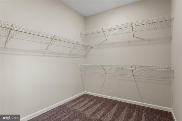 253 ROSSMANN BLVD, Winchester, VA 22602