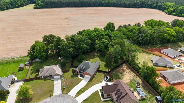 146 Bucks Pocket Drive, New Market, AL 35761