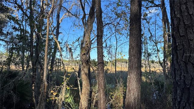 17221 SE 95TH STREET ROAD, Ocklawaha, FL 32179