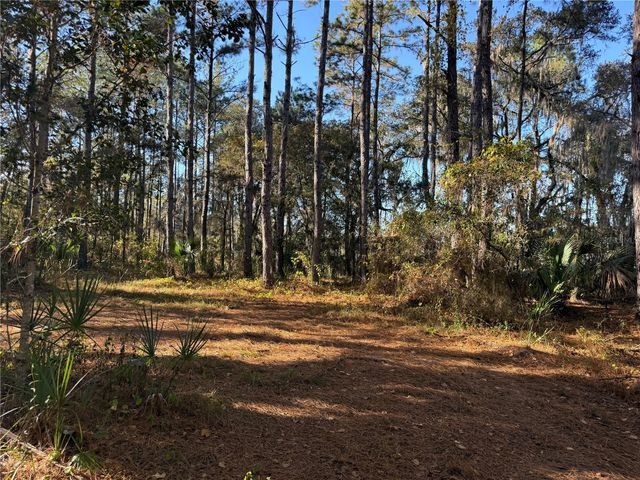 17221 SE 95TH STREET ROAD, Ocklawaha, FL 32179