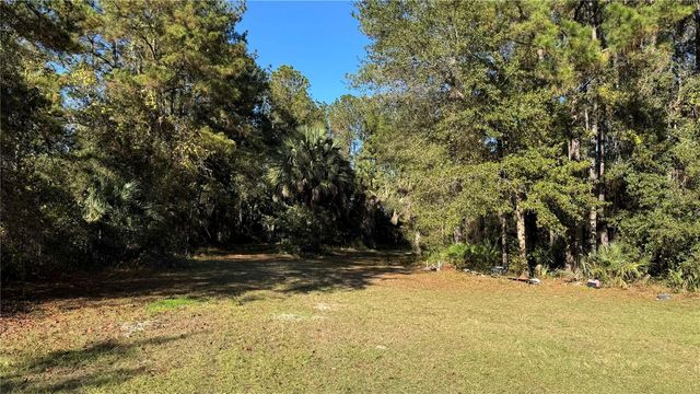 17221 SE 95TH STREET ROAD, Ocklawaha, FL 32179