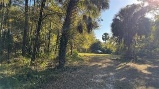 17221 SE 95TH STREET ROAD, Ocklawaha, FL 32179