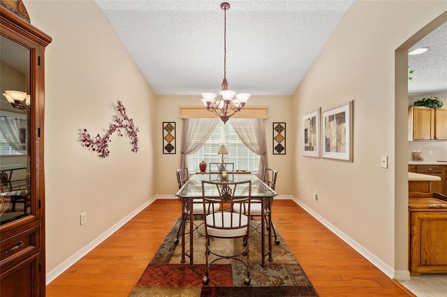 9231 SE 171ST COOPER LOOP, The Villages, FL 32162