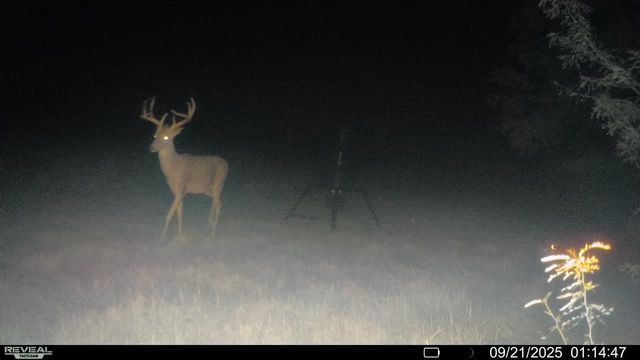 2791 Private Road 5101, Farmersville, TX 75442