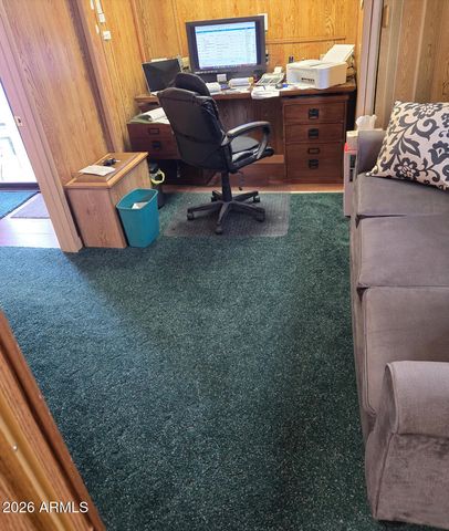 2261 Hanging Tree Lane, Overgaard, AZ 85933