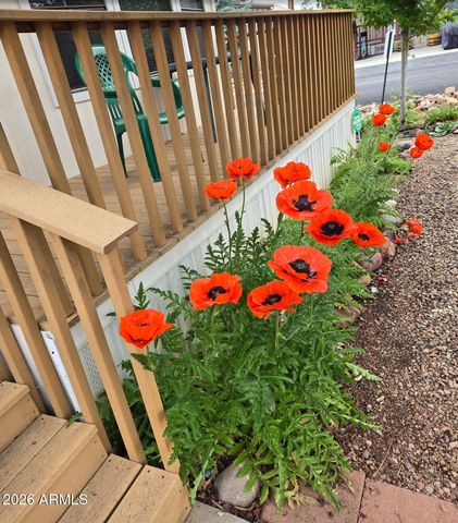 2261 Hanging Tree Lane, Overgaard, AZ 85933