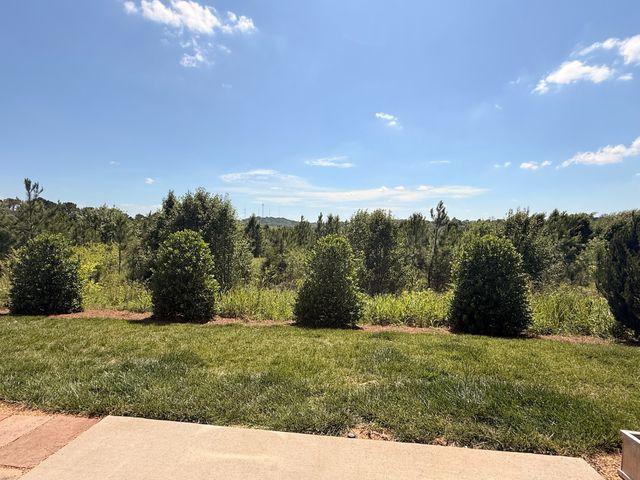 361 Coleman Ct, Columbia, TN 38401
