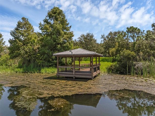 4718 BLUE MAJOR DRIVE, Windermere, FL 34786