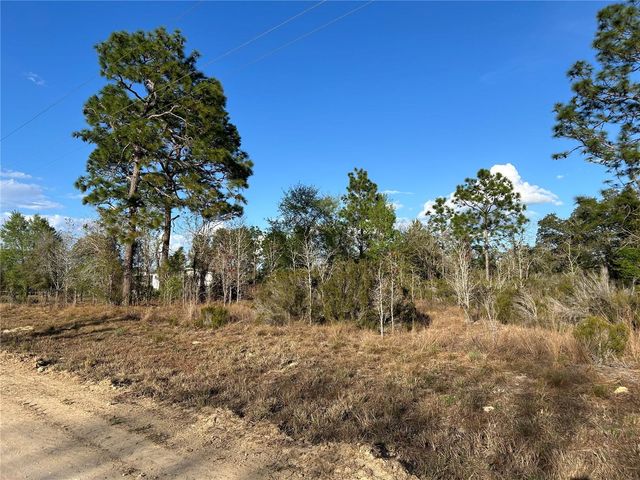 1091 NE 127TH COURT, Williston, FL 32696