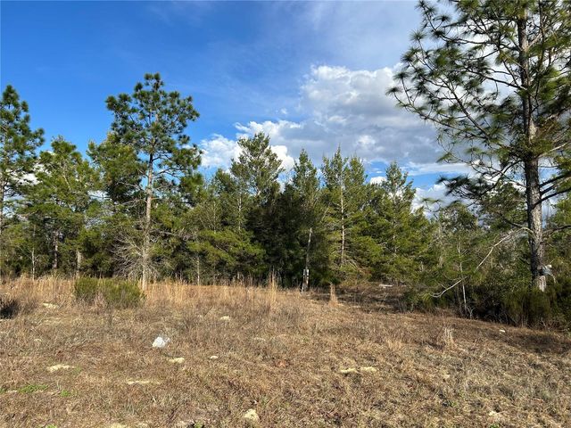 1091 NE 127TH COURT, Williston, FL 32696