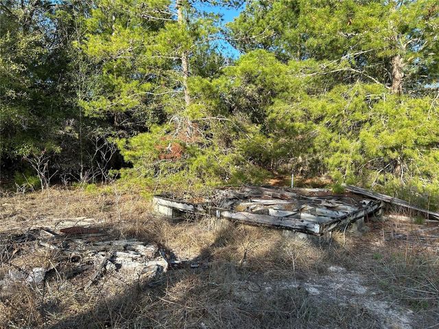 1091 NE 127TH COURT, Williston, FL 32696