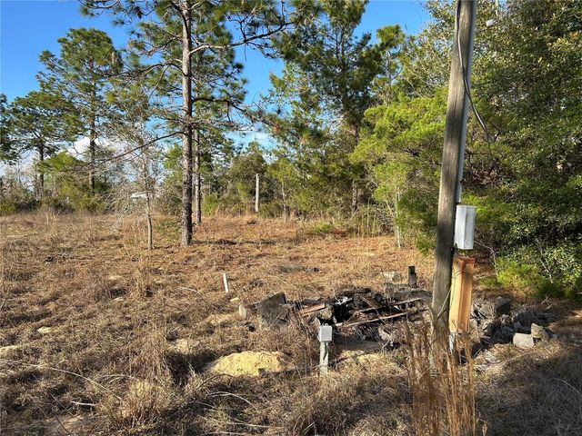 1091 NE 127TH COURT, Williston, FL 32696