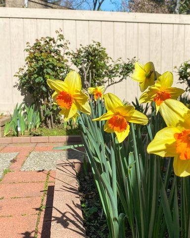 130 Hartnell Pl, Sacramento, CA 95825