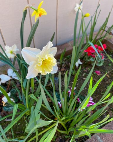 130 Hartnell Pl, Sacramento, CA 95825