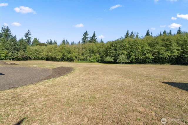 46 Richard Lane, Elma, WA 98541