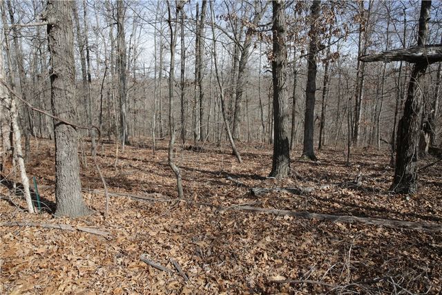 Lot 2 Jimmy Lane, Bella Vista, AR 72715
