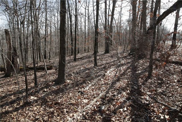 Lot 2 Jimmy Lane, Bella Vista, AR 72715