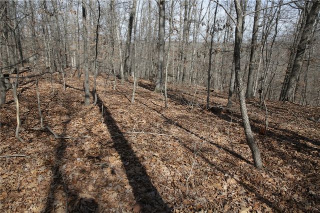 Lot 2 Jimmy Lane, Bella Vista, AR 72715