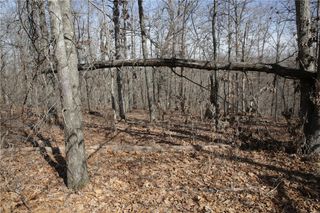 Lot 2 Jimmy Lane, Bella Vista, AR 72715