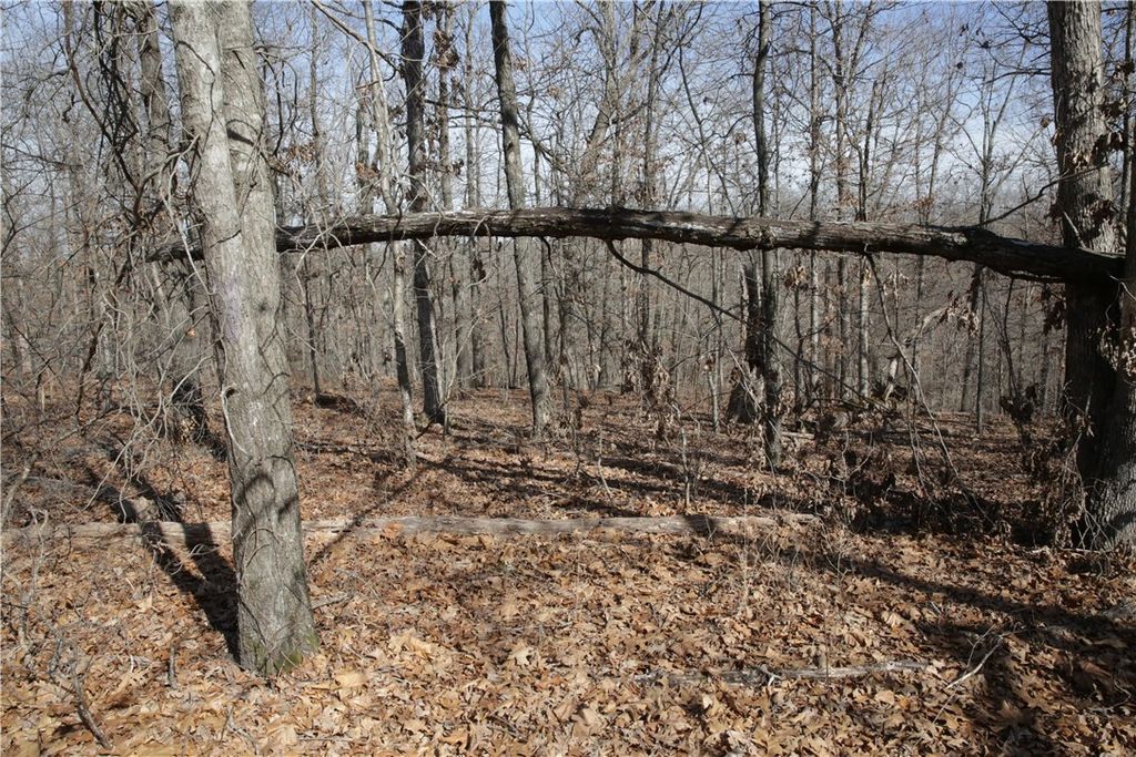 Lot 2 Jimmy Lane, Bella Vista, AR 72715