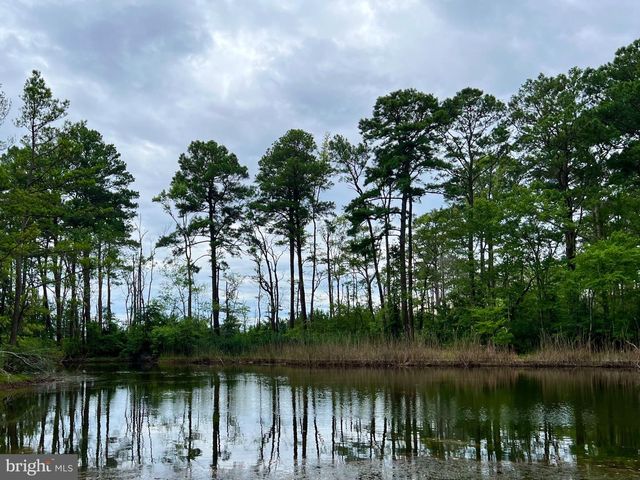 38057 PINE NEEDLE LN, Frankford, DE 19945