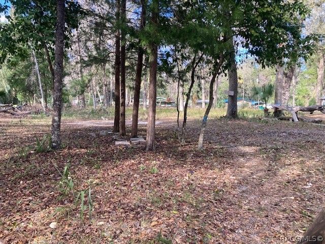 2456 N Jungle Camp Road, Inverness, FL 34453