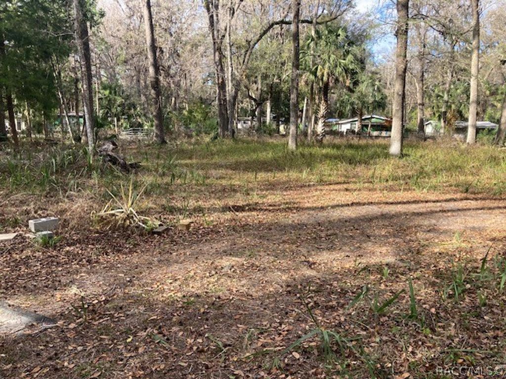 2456 N Jungle Camp Road, Inverness, FL 34453