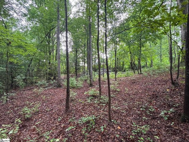 3009 Kemet Way, Simpsonville, SC 29681