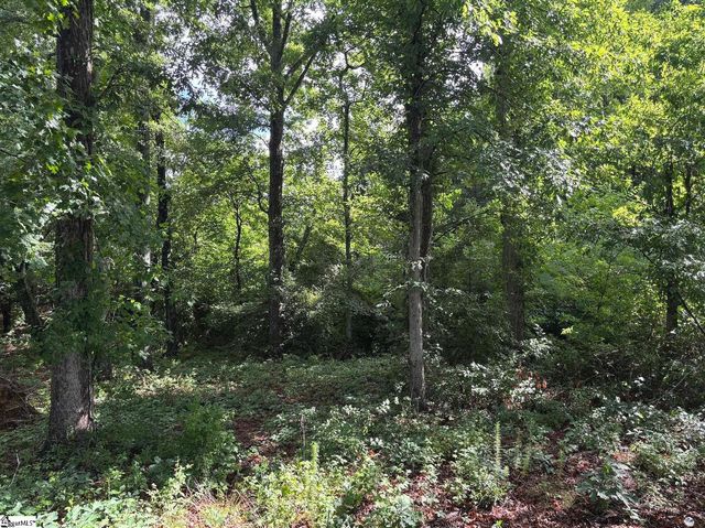 3009 Kemet Way, Simpsonville, SC 29681
