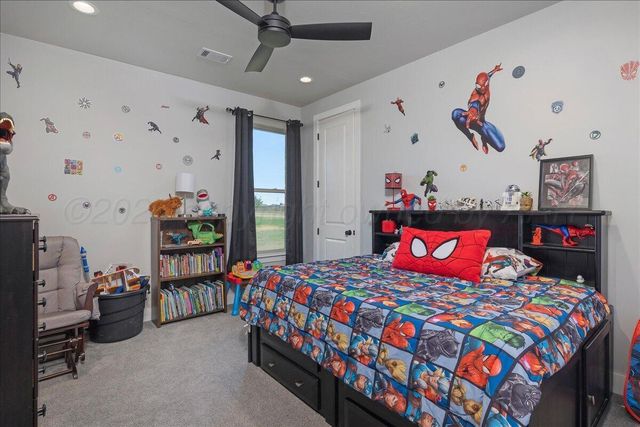 9767 Agave Drive, Amarillo, TX 79119