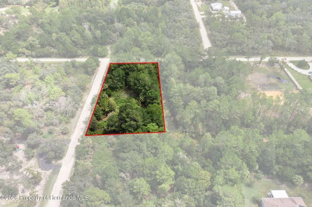 0 Ramsey Road, Weeki Wachee, FL 34614