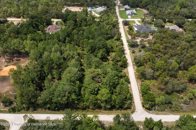 0 Ramsey Road, Weeki Wachee, FL 34614
