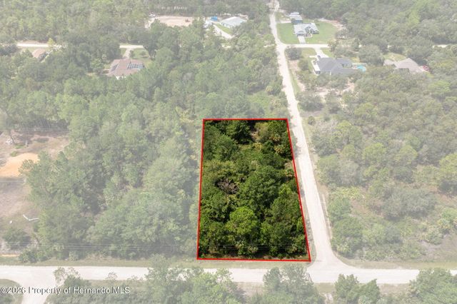 0 Ramsey Road, Weeki Wachee, FL 34614