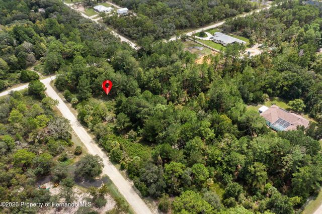 0 Ramsey Road, Weeki Wachee, FL 34614
