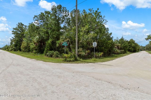0 Ramsey Road, Weeki Wachee, FL 34614
