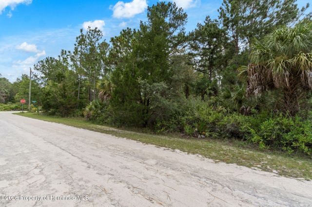 0 Ramsey Road, Weeki Wachee, FL 34614