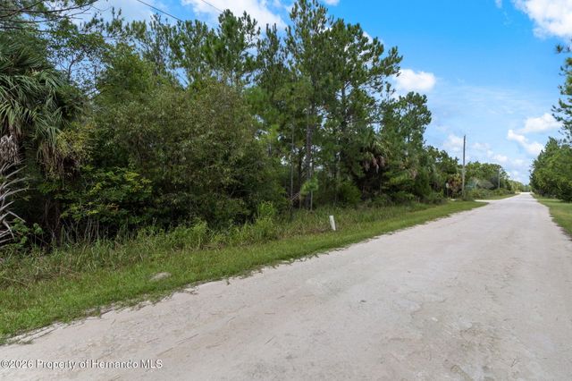 0 Ramsey Road, Weeki Wachee, FL 34614