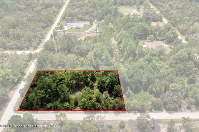 0 Ramsey Road, Weeki Wachee, FL 34614