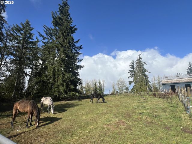 24853 Warren Rd, Rainier, OR 97048