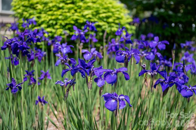 55 Outlook Circle, Swannanoa, NC 28778