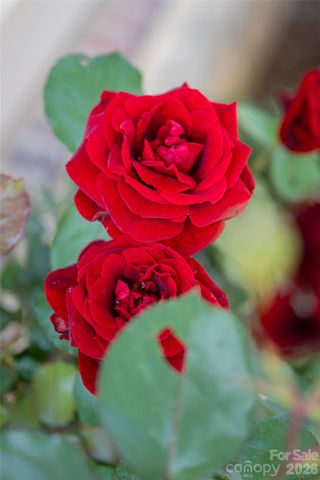 55 Outlook Circle, Swannanoa, NC 28778